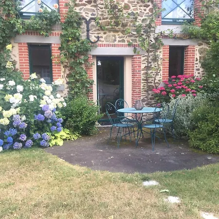 Fleurs Des Champs